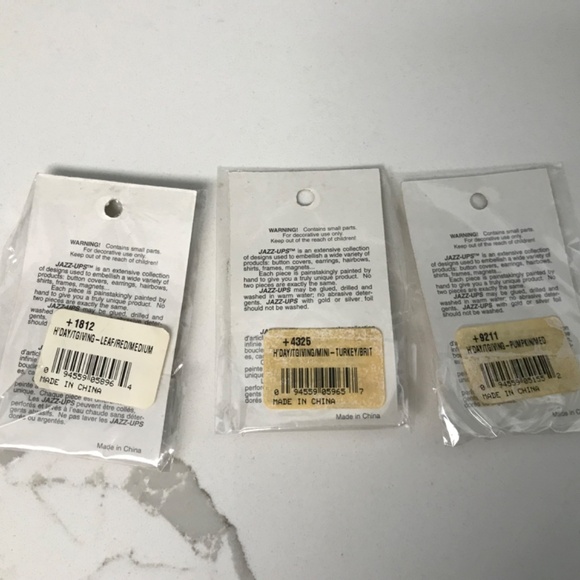 Hand Painted Jazz Up Craft Embellishments Turkey Pumpkin Maple Leaf 3 Pieces - Picture 2 of 6